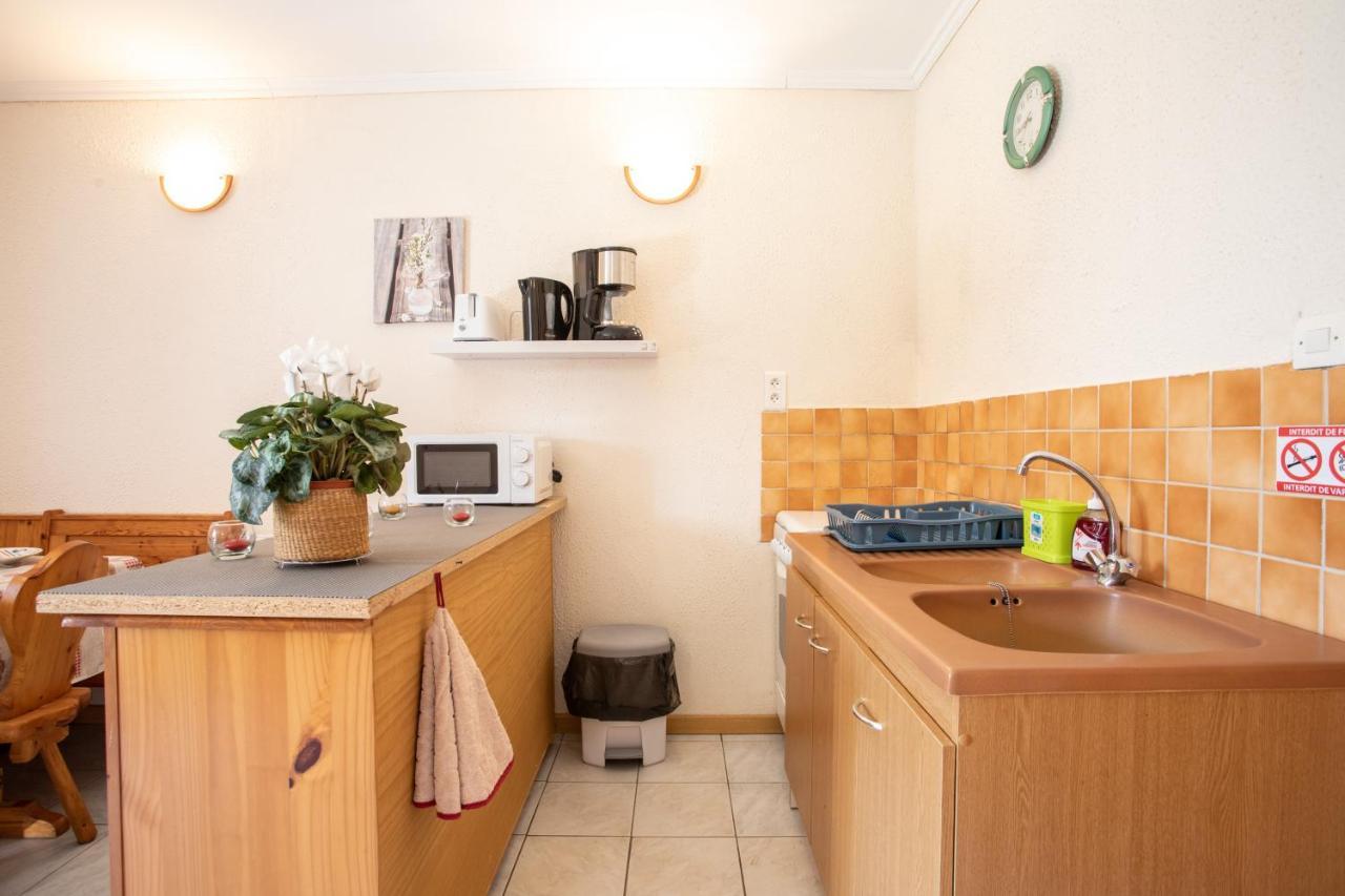 Apartmán La Durance - 1 Chambre Terrasse Et Jardin Saint-André-dʼEmbrun Exteriér fotografie